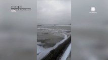 Strong winds uncover 656 feet of Lake Erie lakebed