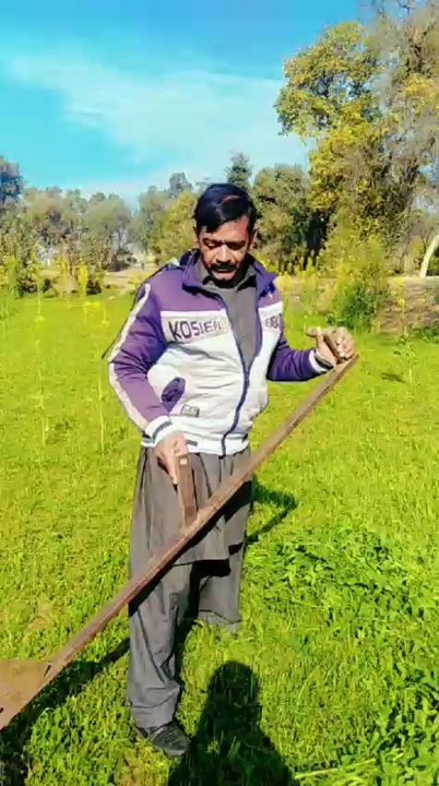 dasi mahol