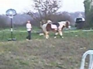 tonerre longue rène+saut