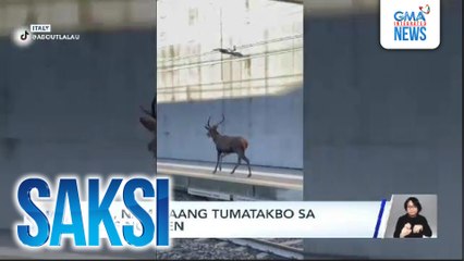 Usa, namataang tumatakbo sa riles ng tren | Saksi