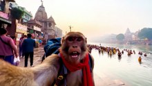 Babloo_Ka_Ganga_ji_Snan_AI_Monkey_Vlogger_in_Haridwar_Emotio