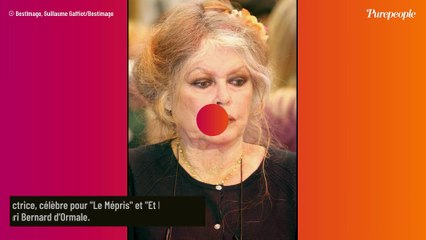 Brigitte Bardot :  Voici une de ses dernières lettres, des mots rédigés alors qu'elle était soignée