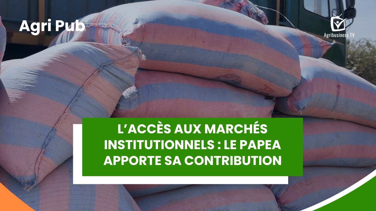 Agri Pub : L’accès aux marchés institutionnels, le PAPEA apporte sa contribution