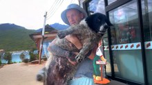 Guy Rescues A Sick Dog Outside Of 7-Eleven And Brings Him Back To Life