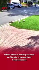🚨🐕 Ataqu3 alarmante en Florida. Tres personas tuvieron que ser trasladadas a un hospital luego de ser at@cadas por un perro de raza pitbull, según reportes de autoridades locales.