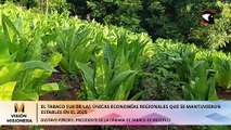 EL TABACO FUE DE LAS ÚNICAS ECONOMÍAS REGIONALES QUE SE MANTUVIERON ESTABLES EN EL 2025