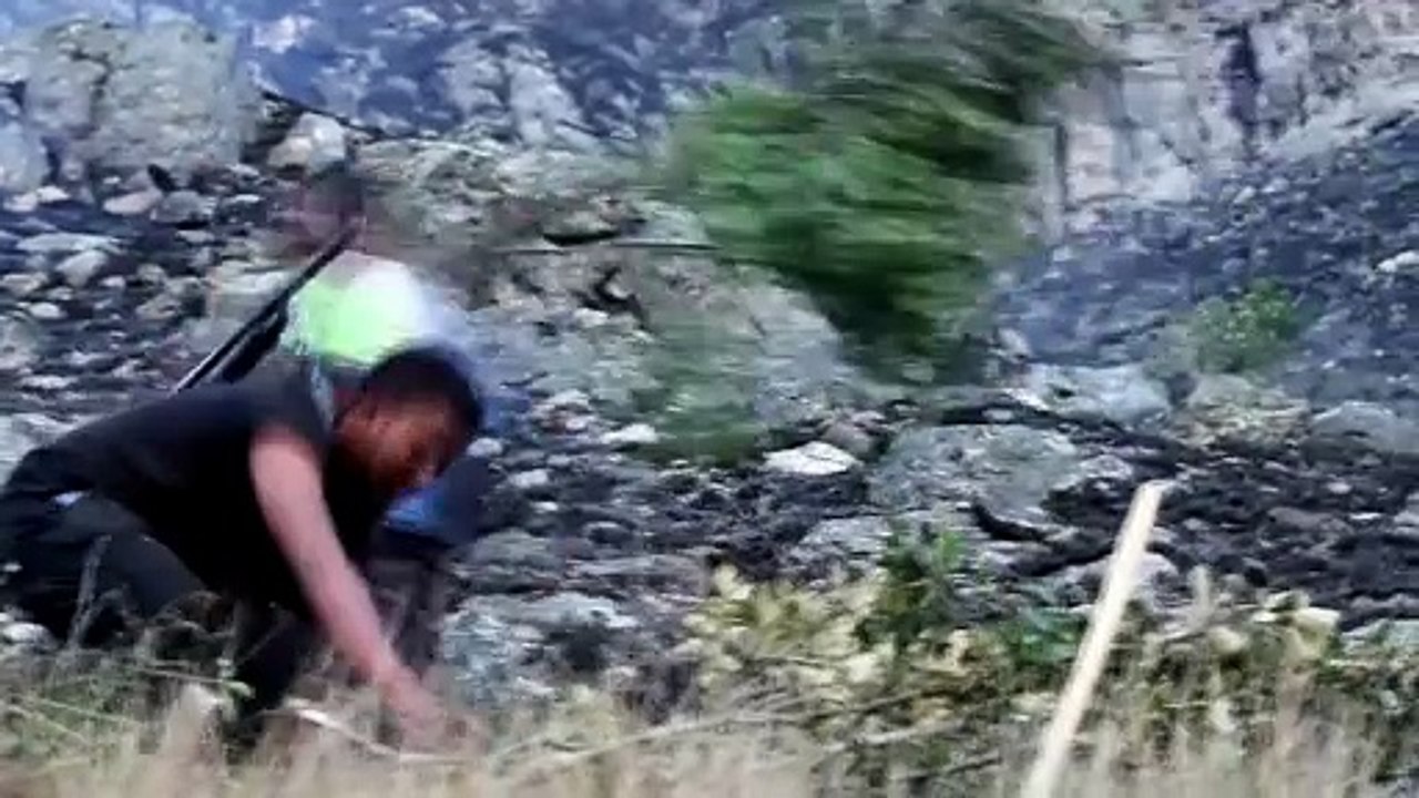 Ivohiboro, la forêt oubliée - Bande annonce