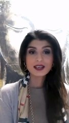 🌟 Mysticsense Psychic Readings  one of the most trusted psychic platforms online | Get 5 Minutes FREE! 🔮✨