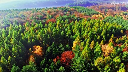 Zen Meditation Music For Inner Stillness