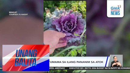 Andap, muling tumama sa ilang pananim sa Atok | Unang Balita