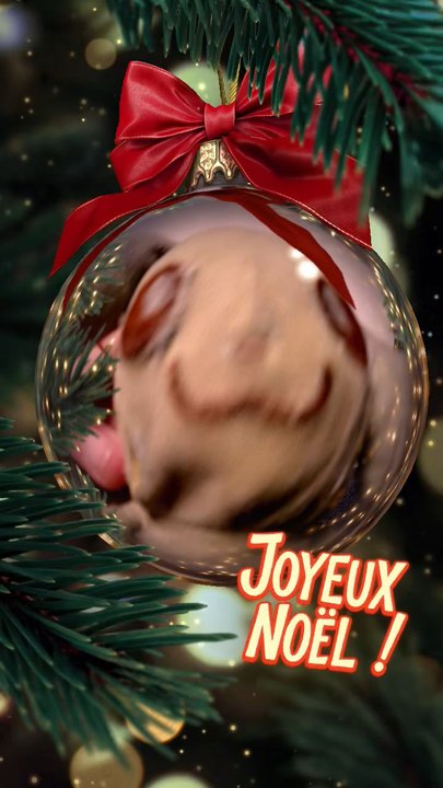 Joyeux Noël !