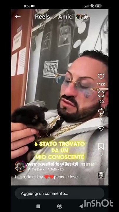 Alfredo agozzino il piccolo katy