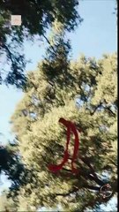 🔥[Hot 2026]THE DAUGHTER OF ZEUS - video Dailymotion 🍀