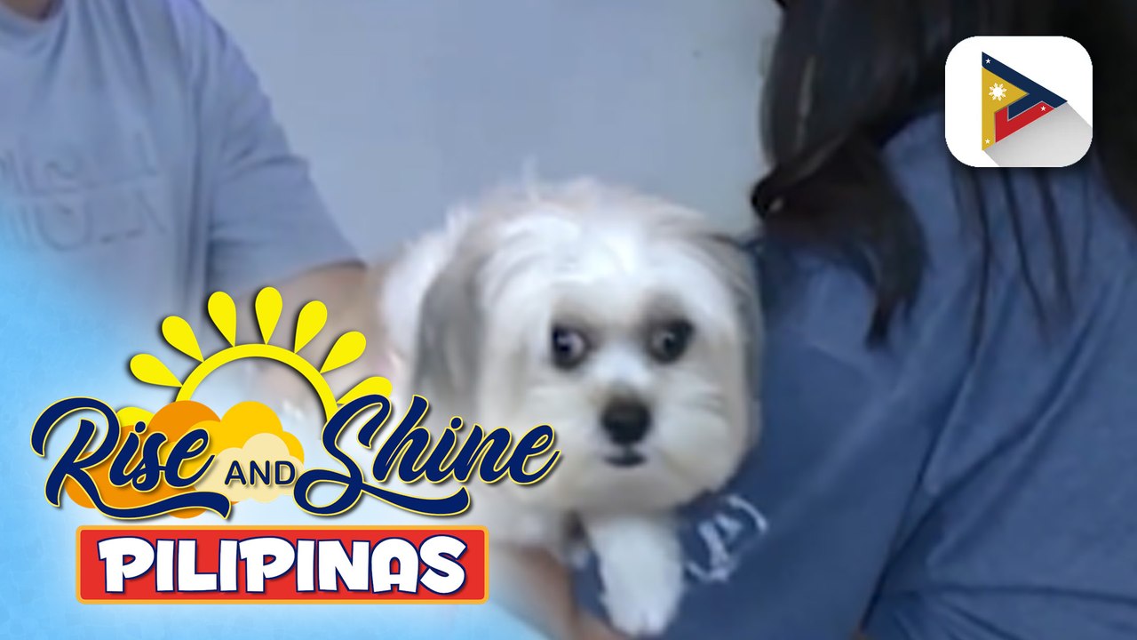 Mga alagang hayop, apektado ng malakas na ingay sa pagsalubong sa bagong taon; Isang veterinarian, may payo para mapangalagaan ang pets sa ingay | ulat ni Rod Lagusad