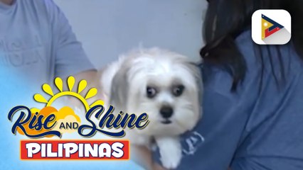 Mga alagang hayop, apektado ng malakas na ingay sa pagsalubong sa bagong taon; Isang veterinarian, may payo para mapangalagaan ang pets sa ingay | ulat ni Rod Lagusad