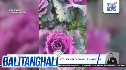 Ilang pananim, nabalot ng yelo dahil sa andap | Balitanghali
