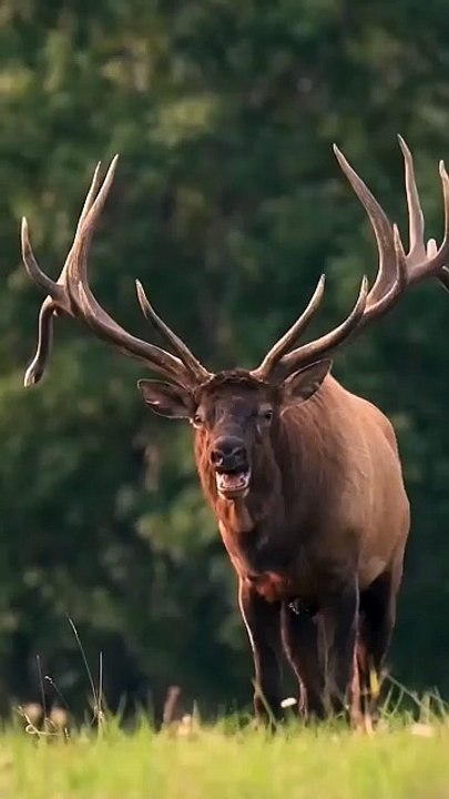 wildlife sanctuary