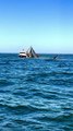 Nature , Ocean and Fishing #fishingboat#fishing#ocean