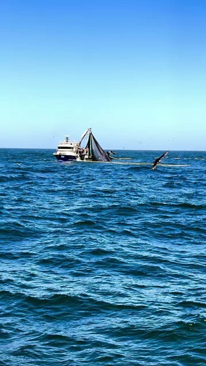 Nature , Ocean and Fishing #fishingboat#fishing#ocean