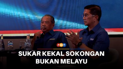 PN tanpa Muhyiddin, Azmin mungkin sukar kekal sokongan bukan Melayu