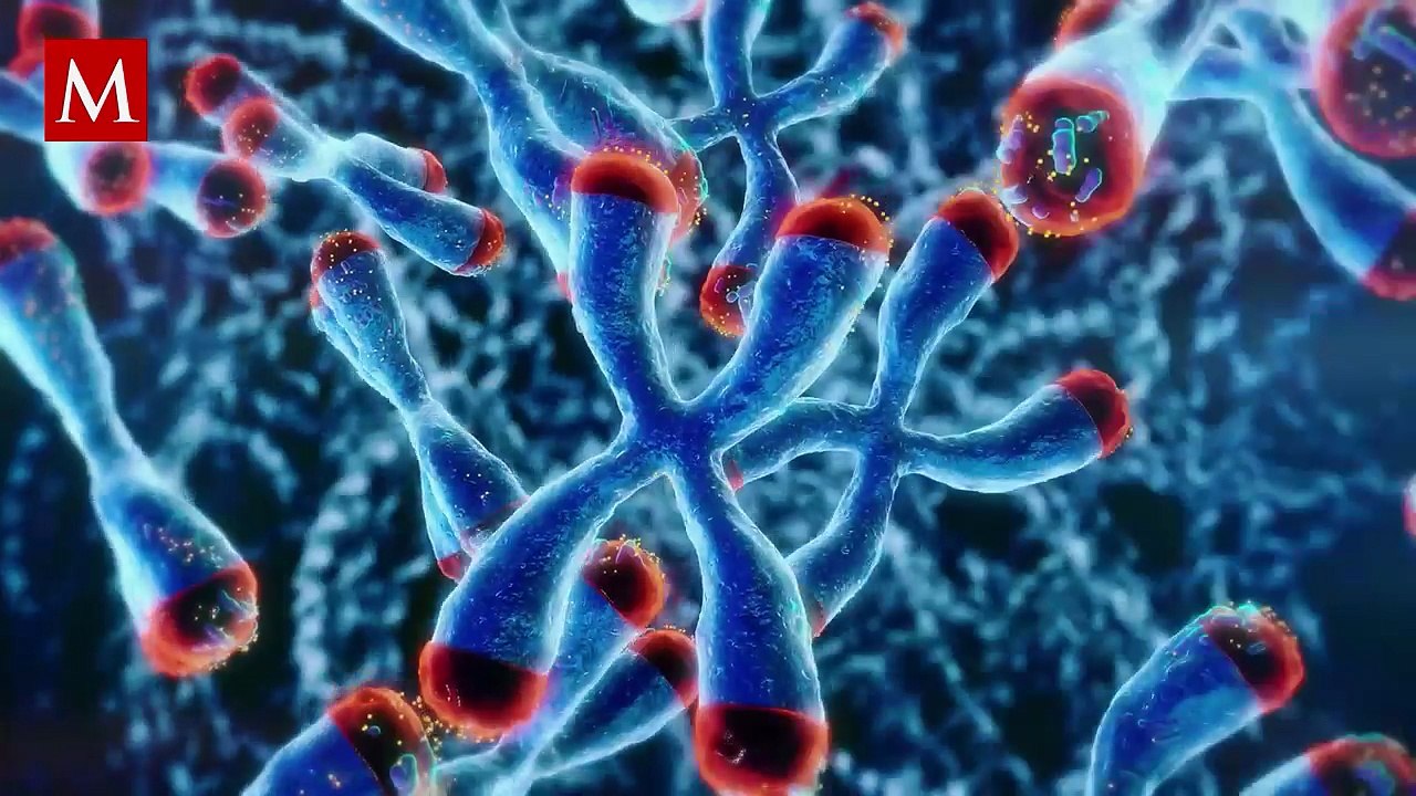 Longevidad y poder: hasta dónde puede llegar la ciencia para frenar el envejecimiento