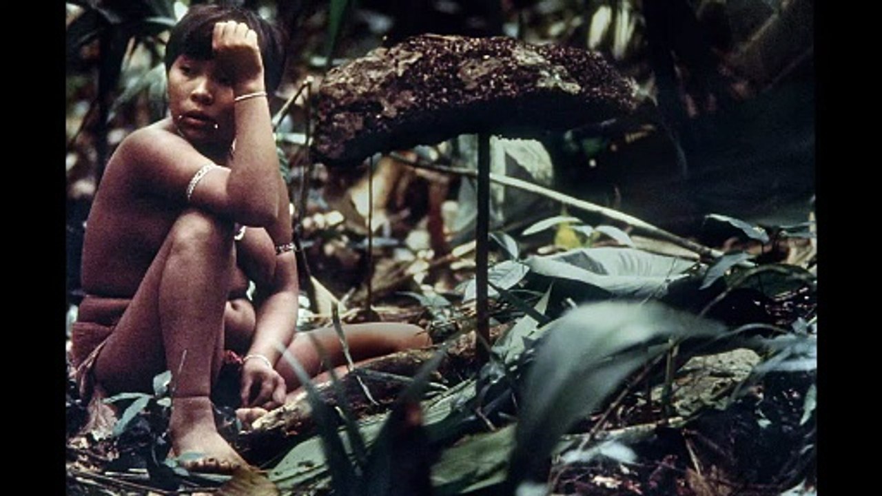 Die Vision der Claudia Andujar | movie | 2024 | Official Trailer