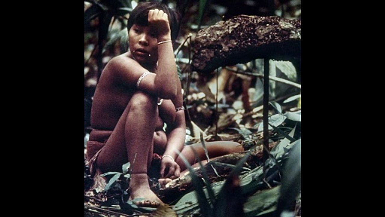 Die Vision der Claudia Andujar | movie | 2024 | Official Trailer