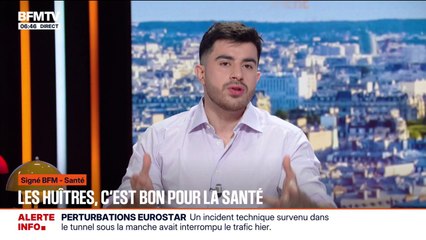 SIGNÉ BFM - Riches en protéines, pleines de micro-nutriments et d'Oméga 3, les huîtres sont bonnes pour la santé, sauf restrictions