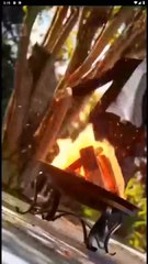 [Hot 2025🔥] Turn Left to Mr. Right Full Episodes_ ShortsWave_ RS