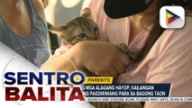 Alamin: Tips para matiyak na stress-free ang ating mga alagang hayop sa pagsalubong sa Bagong Taon | ulat ni Rod Lagusad