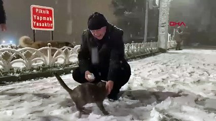 İstanbul'un kar hasreti sona erdi: Lapa lapa kar yağdı!