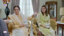Sher ep 17 Pakistani drama