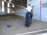 premiere mise en selle reitse Mar 27 mai (2)