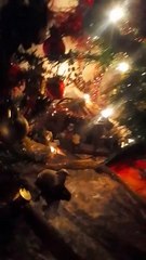 Nochebuena, no tan buena, porque la soledad no es buena...