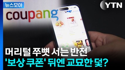 [뉴스모아] "쿠팡 보상쿠폰 썼다가는…" 법조계가 짚은 결정적 부분 / YTN
