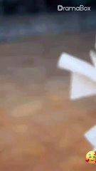 Roses & Riches- Secrets Behind the Name (DUBBED) - Full