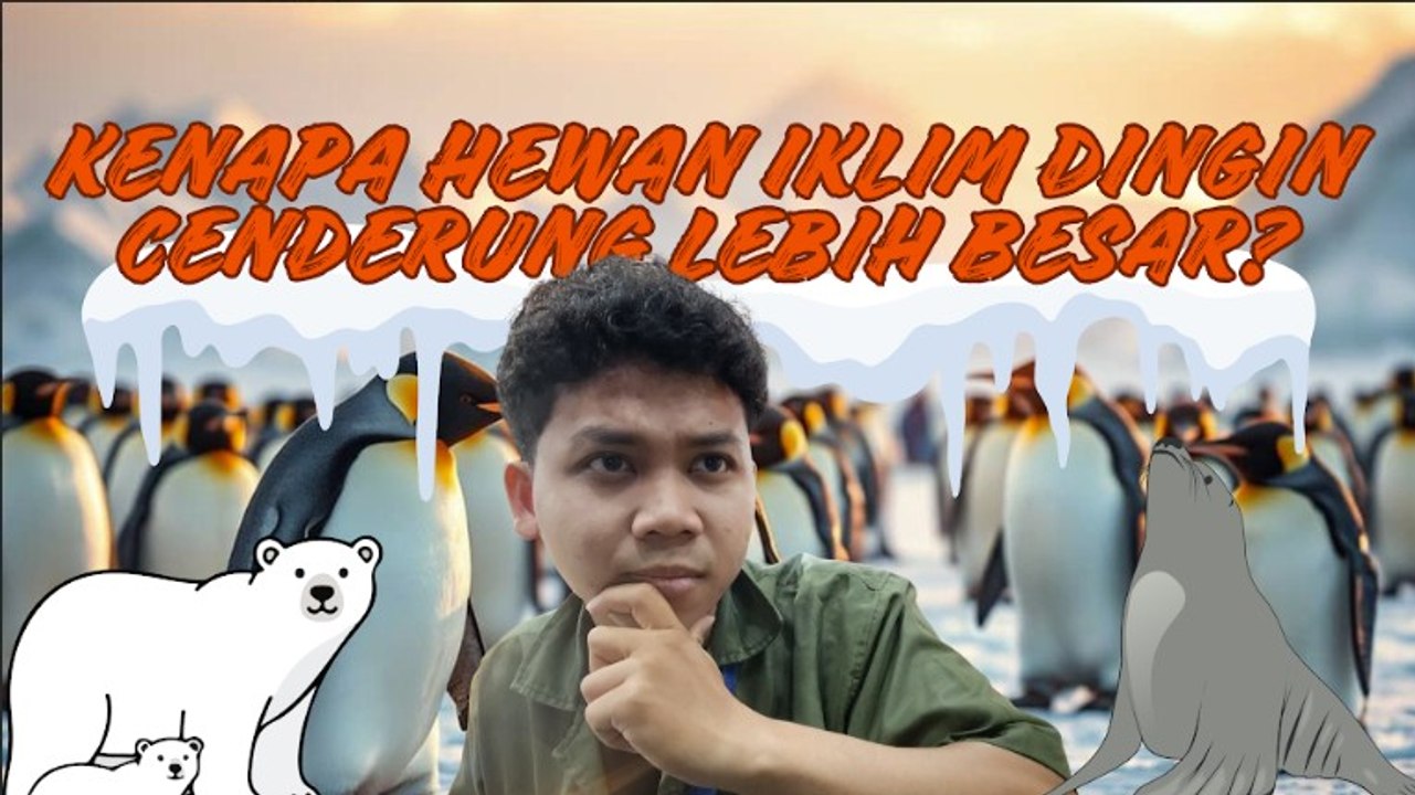 Kenapa Hewan di Daerah Dingin Cenderung Berukuran Lebih Besar?