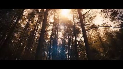 Avengers Doomsday : le teaser Thor reviendra (VOST)