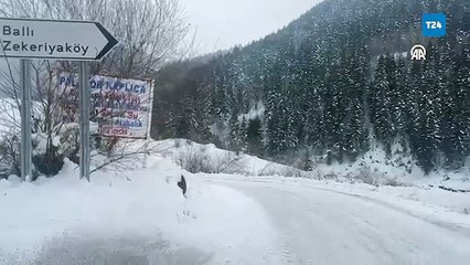 Artvin'de çığ: Altında çobanların kaldığı ihbarı geldi, ekipler bölgeye ulaşmaya çalışıyor