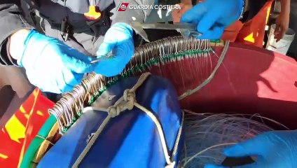 Guardia Costiera, i controlli sulla filiera ittica