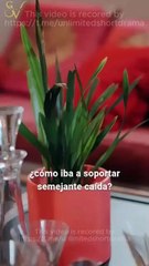 La Familia Perfecta de la Chica de las Plantas (Doblado) Episodio Completo 🌻 Drama Familiar HD 2025