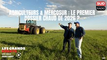 Agriculteurs & Mercosur : le premier dossier chaud de 2026 ? - Les grands débats