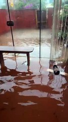 VÍDEO: Água invade e casas ficam debaixo d'agua após fortes chuvas em Florianópolis