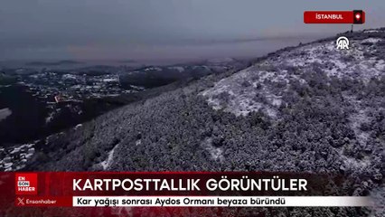Kar yağışı sonrası Aydos Ormanı beyaza büründü