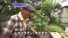 2009年8月18日 ちい散歩 佐倉（京成編）Sakura