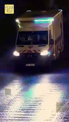 Boss, Your Executive Secretary Has Resigned - FULL MOVIES ENGLISH SUB