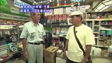 2009年8月24日 ちい散歩 匝瑳市八日市場 Yokaichiba