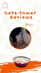 Homemade Chicken Cat Food | Billi Treats Testimonials | Healthy & Happy Cats in Karachi! 😻💛