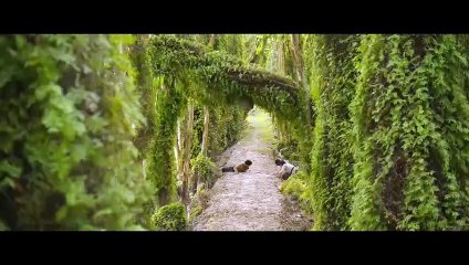 (Part 2) Đất Rừng Phương Nam | Song Of The South (EngSub) | Phim Chiếu Rạp Việt Nam 2023