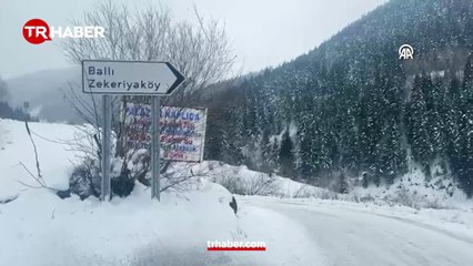 Artvin’deki çığ bölgesine ekipler sevk edildi!